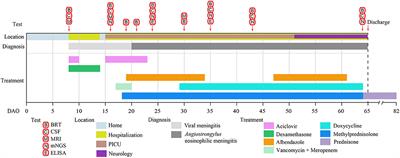 The application of metagenomic next-generation sequencing for Angiostrongylus eosinophilic meningitis in a pediatric patient: A case report